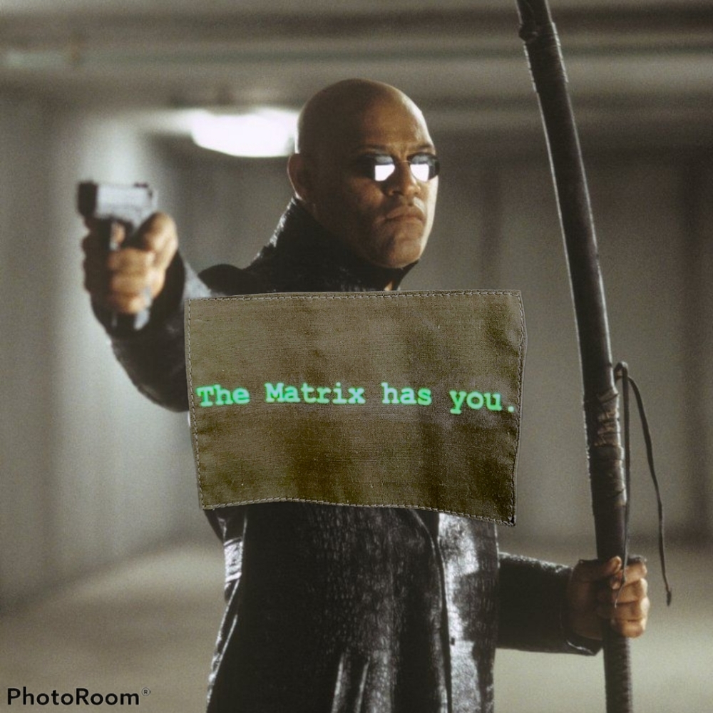 The Matrix - Picture 2 of 2